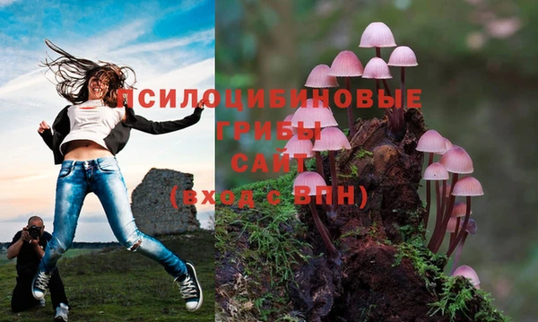 jwh Арсеньев