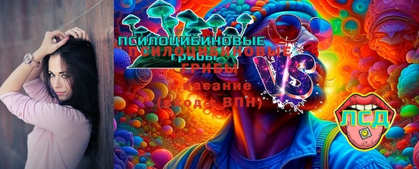 круглые Аркадак